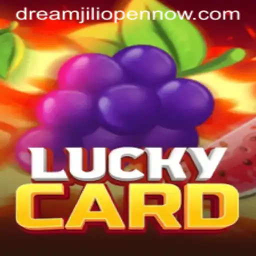 Exploring LuckyCard